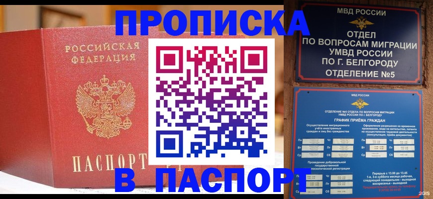 временная регистрация в квартире в Сольцах